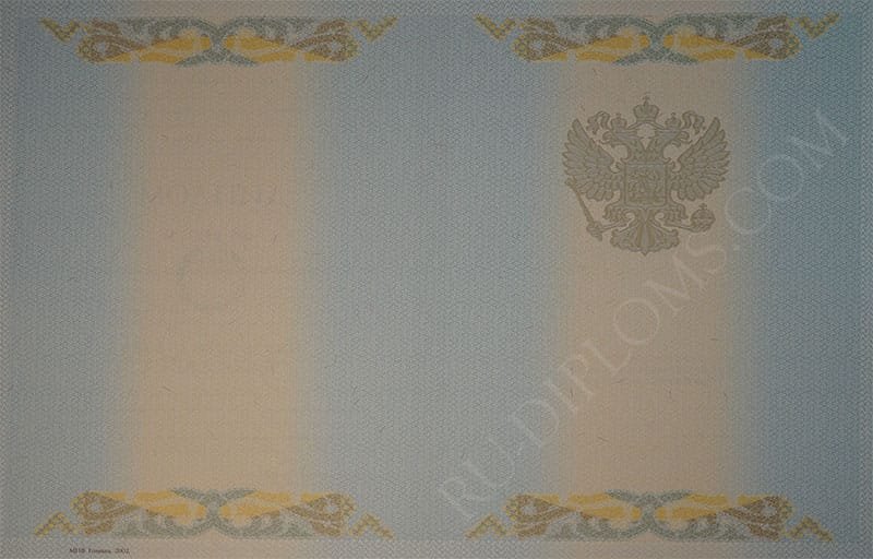 Диплом бакалавра 1997-2003 год  