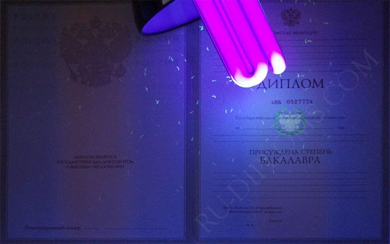 Диплом бакалавра 1997-2003 год  